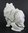 Pomeranian - White Jewelled Dog Trinket Box or Figurine