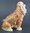Cocker Spaniel Dog - Decorative Jewelled Box Or Figurine