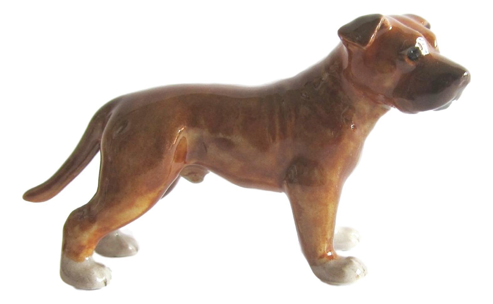 mini staffordshire bull terrier