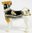 Jack Russell Dog Jewelled Trinket Box or Figurine