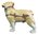 Pug Dog - Jewelled Box or Figurine