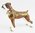 Boxer Dog, Jewelled Box Figurine