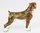 Boxer Dog, Jewelled Box Figurine