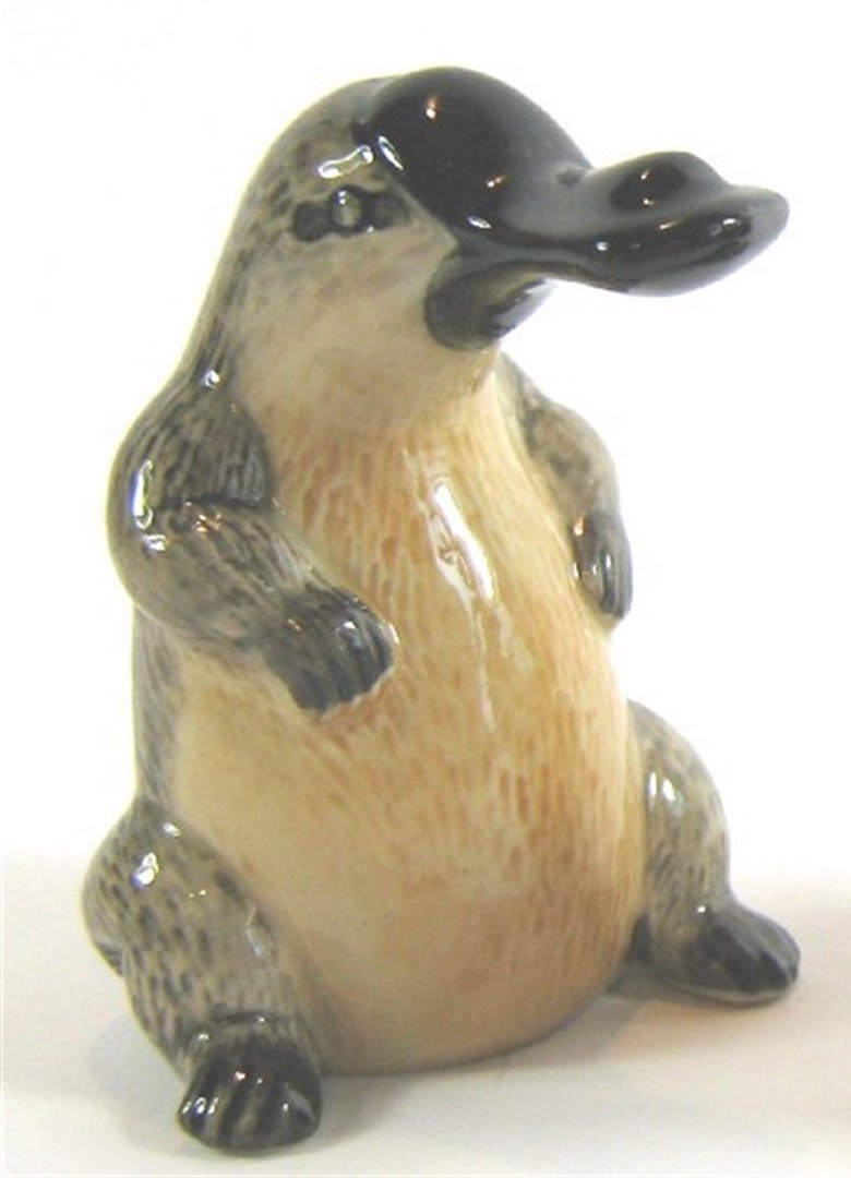 Buy Australian Native Platypus Salt Pepper Shakers Ceramic