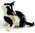 Black & White Ceramic Miniature Cat - Scratching Ear