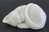 Quintessence (UK) - "Jasper" - Stone Cat Figurine