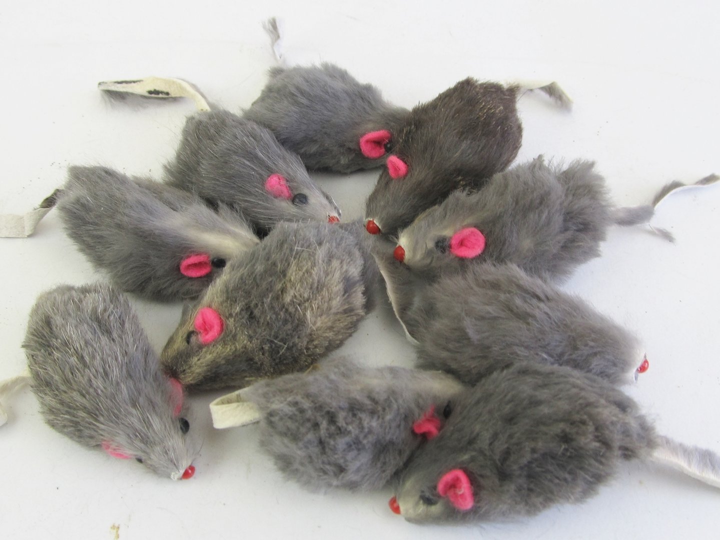 Buy Cat Toy