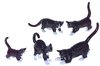 Miniature Porcelain, Hand Painted Black & White Cats Set/5