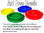 Ant Free Bowls - Set of 3 Coloured Pet Bowls