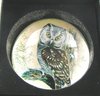 Owl  Decorative Dome Crystal Paperweight