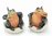 Crocodile Hatchlings Salt & Peppers Shakers - Ceramic