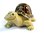 Turtle Salt & Peppers Shakers - Ceramic