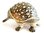 Echidna Diamanti Decorated Jewelled Trinket Box or Figurine