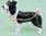 Border Collie Dog Enamelled Trinket Box