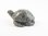 Quintessence (UK) Miniature Turtle Figurine