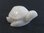 Quintessence (UK) Miniature Turtle Figurine