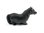 Quintessence (UK) "Inny" the Shetland Pony, Horse Figurine