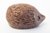 Quintessence (UK) Miniature Hedgehog Figurine
