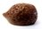 Quintessence (UK) Miniature Hedgehog Figurine