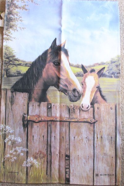 Mare & Foal