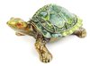 Tortoise Diamanti Decorated Jewelled Trinket Box