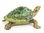 Tortoise Diamanti Decorated Jewelled Trinket Box