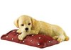 Border Fine Arts- Golden Labrador Pup Resting Dog Figurine