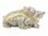 Wombat Diamanti Decorated Jewelled Trinket Box or Figurine