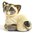 Rinconada Siamese Cat-Kitten Resting