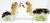 Basset Hound Dog Salt & Pepper Shakers Ceramic