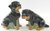 Rottweiler Dog Salt & Pepper Shakers Ceramic