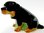 Rottweiler Dog Salt & Pepper Shakers Ceramic