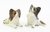 Miniature Ceramic Papillon Dog Figurines - Set/2