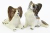 Miniature Ceramic Papillon Dog Figurines - Set/2