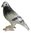 Miniature Porcelain Pigeon - Grey