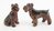 Miniature Porcelain, Hand Painted Airedale Terrier Set/2