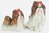 Miniature Porcelain, Hand Painted Shih Tzu Set/2