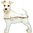 Schnauzer Dog, White Decorative Jewelled Box or  Figurine