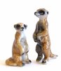 Hand Painted Miniature Set of 2 Meerkat figurine (Tiny)