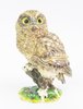 Bookbook Owl Jewelled Trinket Box or Figurine