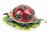 Ladybug or Ladybird Jewelled Trinket Box or Figurine