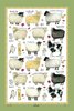 Sheep Breeds Cotton Sheep Tea Towel Green Border