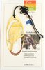 Australian Kookaburra Gold Plated Bird Bookmark-Cello Wrapped