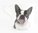 Boston Terrier Heritage Palace Shaped Fine China Dog Mug