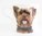 Yorkshire Terrier or Yorkie Heritage Fine China Dog Mug