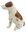 Jack Russell Dog Ceramic Money Box or Figurine 19cm High