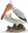 Australian Pelican Jewelled Bird Trinket Box - Enamelled