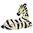 Zebra Lying Diamante Decorated Jewelled Trinket Box