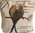 Budgerigar Bird Tote or Shoulder Bag - Beige Backed