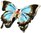 Ulysses Butterfly Jewelled & Enamelled Trinket Box - Figurine
